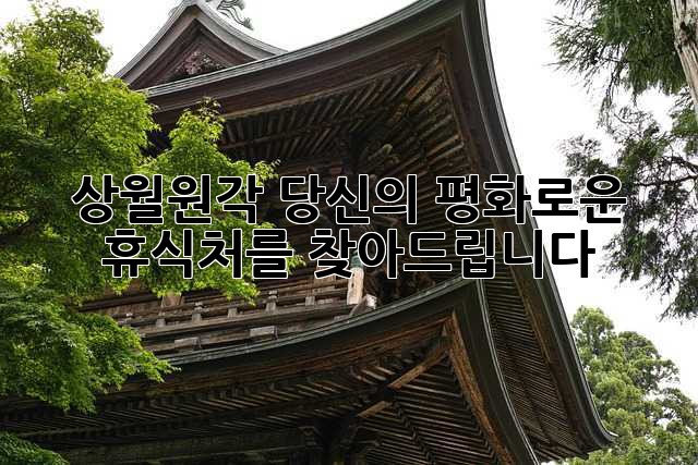 상월원각: 당신의 평화로운 휴식처를 찾아드립니다