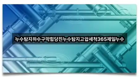 누수탐지하수구막힘당진누수탐지고압세척365제일누수