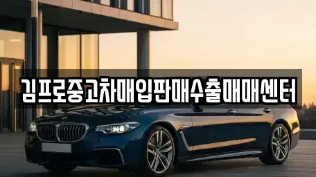강원 동해시 괴란동 중고차매매 전문 김프로중고차매입판매수출매매센터