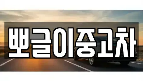 강원 동해시 괴란동 중고차매매 전문 뽀글이중고차