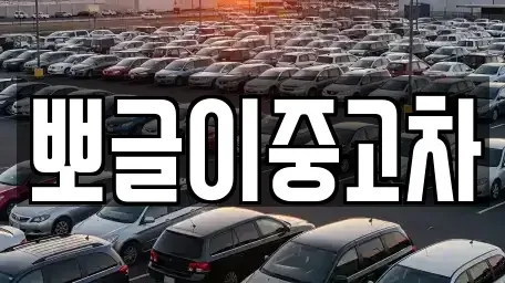 강원 동해시 나안동 중고차 전문 뽀글이중고차