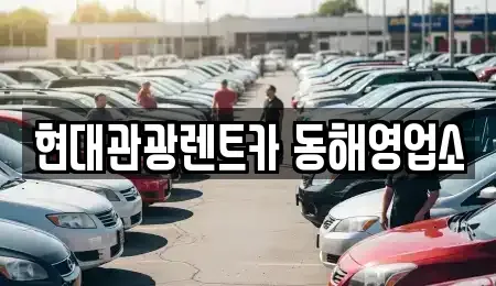 강원 동해시 장기렌트카 전문 현대관광렌트카 동해영업소