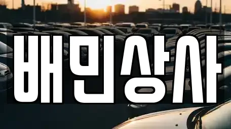 강원 삼척시 읍중동 중고차 전문 배민상사