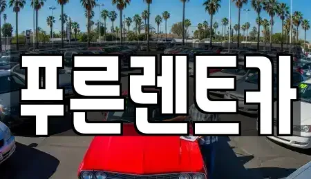강원 양양군 서면 렌트카 전문 푸른렌트카