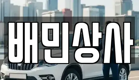 강원 양양군 서면 중고차 전문 배민상사