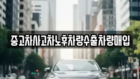강원 양양군 서면 중고차매입 전문 중고차사고차노후차량수출차량매입