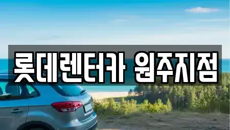 강원 원주시 흥업면 단기렌트카 전문 롯데렌터카 원주지점