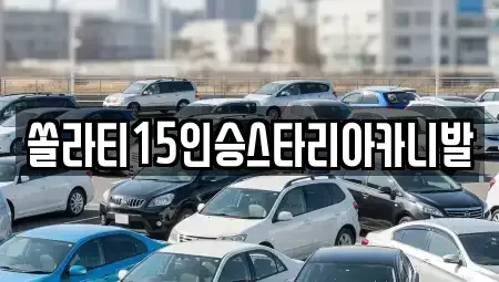 강원 원주시 흥업면 렌트카 전문 쏠라티15인승스타리아카니발