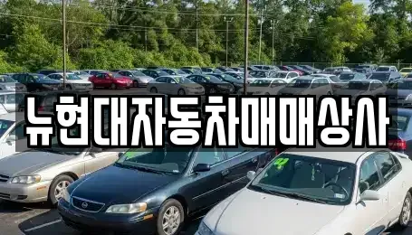 강원 원주시 흥업면 중고차 전문 뉴현대자동차매매상사