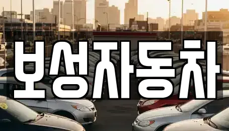 강원 원주시 흥업면 중고차 전문 보성자동차