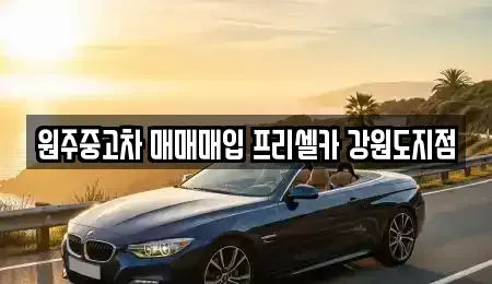 강원 원주시 흥업면 중고차매입 전문 원주중고차 매매매입 프리셀카 강원도지점