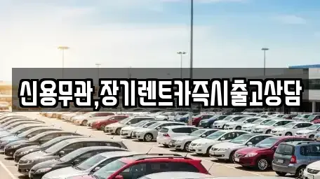 강원 장기렌트카 전문 신용무관,장기렌트카즉시출고상담
