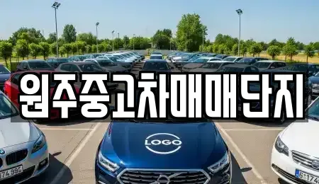 강원 중고차 전문 원주중고차매매단지