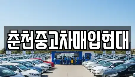 강원 중고차매입 전문 춘천중고차매입현대