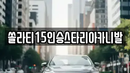 강원 춘천시 동내면 렌트카 전문 쏠라티15인승스타리아카니발