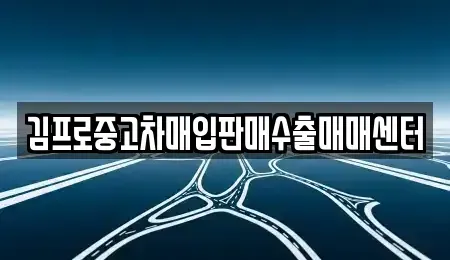 강원 춘천시 약사동 중고차매입 전문 김프로중고차매입판매수출매매센터