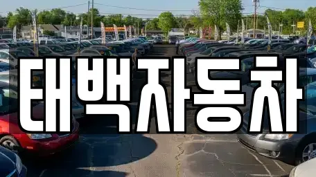 강원 태백시 백산동 중고차매매 전문 태백자동차