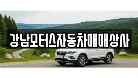 강원 태백시 소도동 중고차매매 전문 강남모터스자동차매매상사