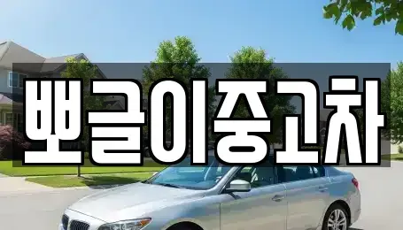 강원 태백시 소도동 중고차매매 전문 뽀글이중고차