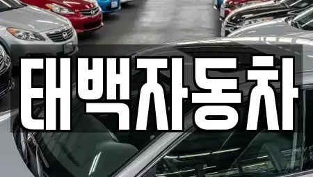 강원 태백시 소도동 중고차매매 전문 태백자동차