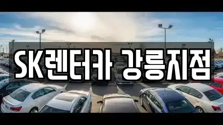 강원특별자치도 강릉시 옥천동 장기렌트카 전문 SK렌터카 강릉지점