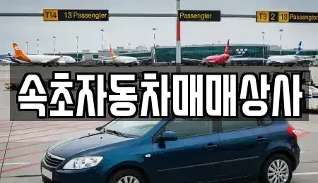 강원특별자치도 고성군 토성면 중고차매매 전문 속초자동차매매상사