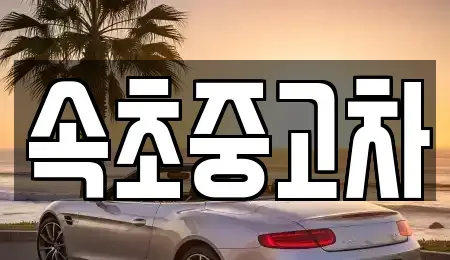 강원특별자치도 고성군 토성면 중고차매매 전문 속초중고차