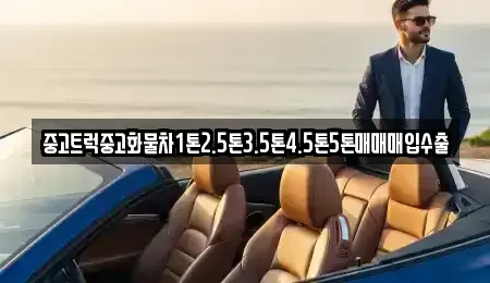 강원특별자치도 고성군 토성면 중고차매매,단기렌트카,중고차매입,장기렌트카,중고차,렌트카