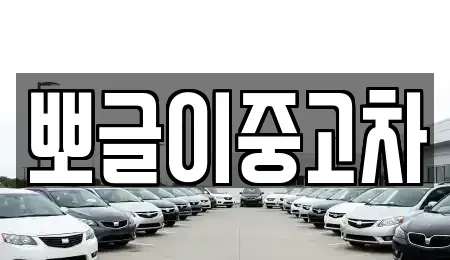 강원특별자치도 삼척시 도계읍 중고차 전문 뽀글이중고차