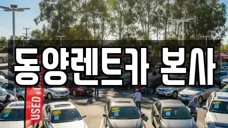 강원특별자치도 삼척시 적노동 렌트카 전문 동양렌트카 본사