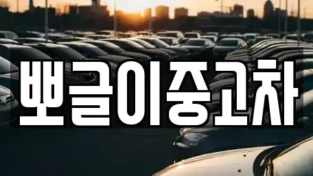 강원특별자치도 삼척시 적노동 중고차매매 전문 뽀글이중고차