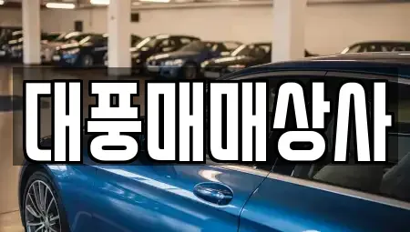 강원특별자치도 원주시 관설동 중고차매매 전문 대풍매매상사