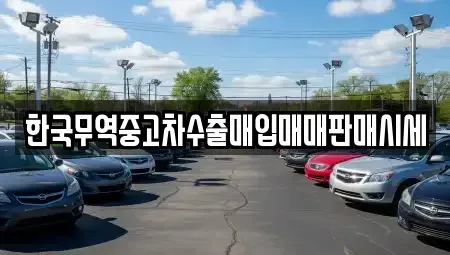 강원특별자치도 원주시 관설동 중고차매입 전문 한국무역중고차수출매입매매판매시세