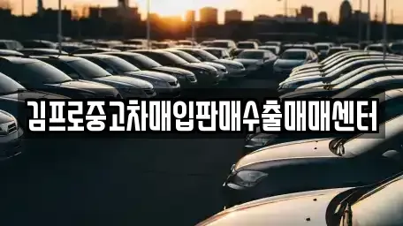 강원특별자치도 정선군 정선읍 중고차매매 전문 김프로중고차매입판매수출매매센터