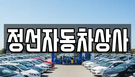 강원특별자치도 정선군 정선읍 중고차매매,단기렌트카,중고차매입,장기렌트카,중고차,렌트카