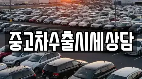 강원특별자치도 정선군 정선읍 중고차매매 전문 중고차수출시세상담