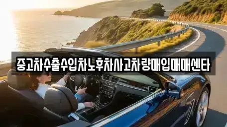 강원특별자치도 정선군 정선읍 중고차매입 전문 중고차수출수입차노후차사고차량매입매매센타