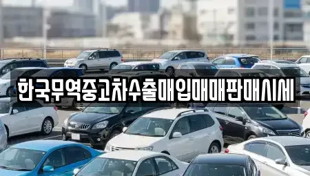 강원특별자치도 평창군 평창읍 중고차 전문 한국무역중고차수출매입매매판매시세