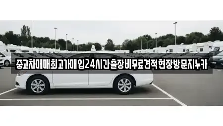 경기 고양시 덕양구 신평동 중고차매입 전문 중고차매매최고가매입24시간출장비무료견적현장방문지누카