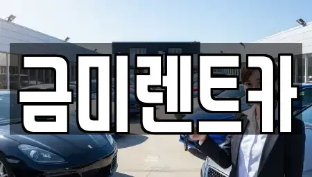 경기 고양시 덕양구 행주외동 렌트카 전문 금미렌트카