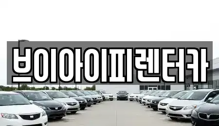 경기 고양시 덕양구 행주외동 렌트카 전문 브이아이피렌터카