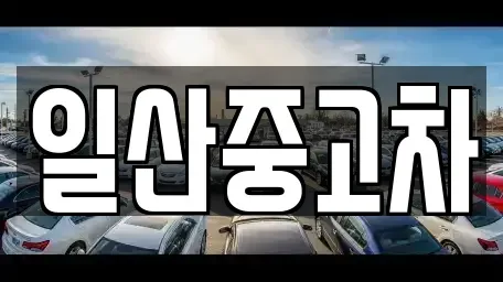 경기 고양시 덕양구 행주외동 중고차 전문 일산중고차