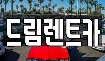 경기 과천시 갈현동 렌트카 전문 드림렌트카