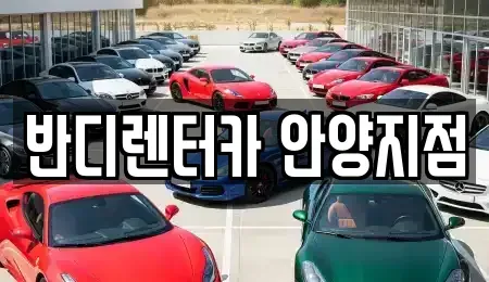 경기 과천시 갈현동 렌트카 전문 반디렌터카 안양지점