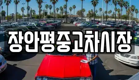 경기 과천시 갈현동 중고차 전문 장안평중고차시장