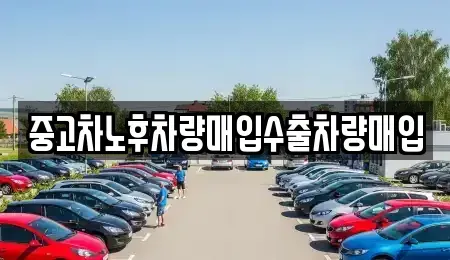 경기 과천시 갈현동 중고차 전문 중고차노후차량매입수출차량매입
