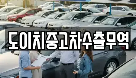 경기 과천시 갈현동 중고차매매 전문 도이치중고차수출무역