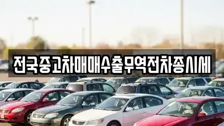 경기 과천시 갈현동 중고차매매 전문 전국중고차매매수출무역전차종시세