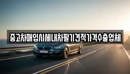경기 과천시 갈현동 중고차매매 전문 중고차매입시세내차팔기견적가격수출업체