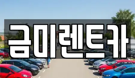 경기 부천시 오정구 작동 렌트카 전문 금미렌트카